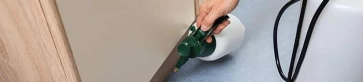 Bed bug exterminator treating baseboards and cracks with targeted spray in Aurora, CO