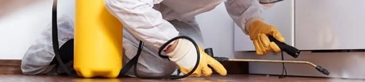 Roach exterminator treating cracks and crevices along kitchen baseboards in Aurora, CO