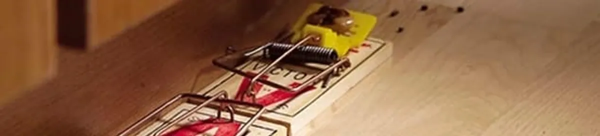 Rodent trap set indoors for rodent control and prevention in Aurora, CO
